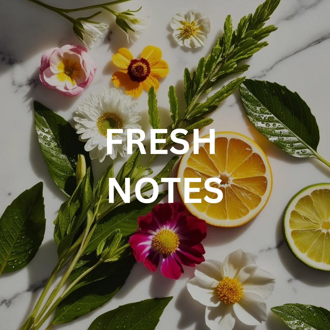 Fresh Notes